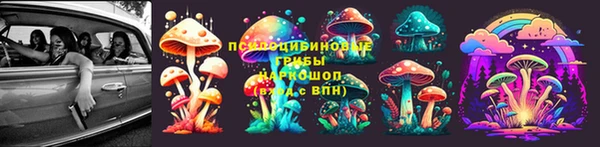 стаф Алексеевка
