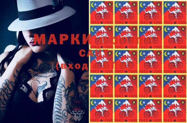 дмт Алзамай
