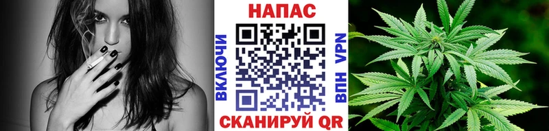 закладка  Сорочинск  Канабис Ganja 